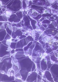 VACHSSのボスは愛される