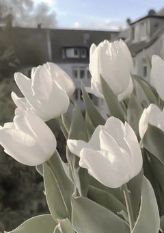 こっち向いてよ佐伯くん！！