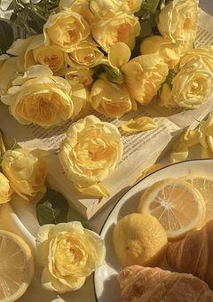 祠壊したら嫁にされました