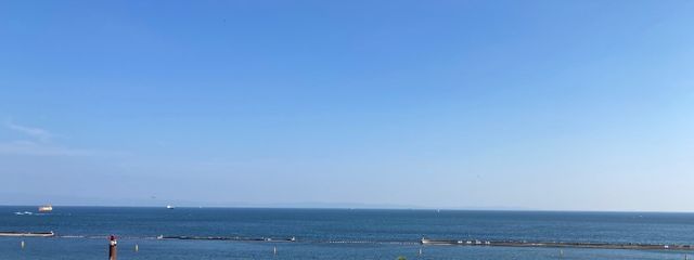 トマト愛護団体さんの壁紙画像