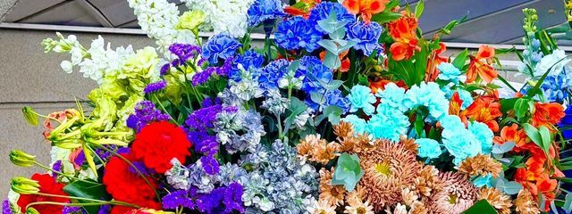 れんたん💙ᩚ🦊さんの壁紙画像