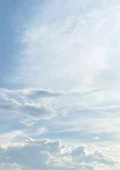 何故かカンヒュの皆さんを養っています…