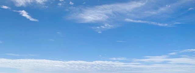 いうさんの壁紙画像