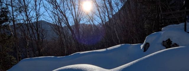 Ｍｏａ　さんの壁紙画像