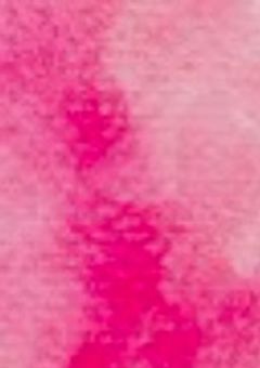 明日あなたが泣きますように