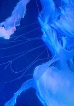 【sxxn短編集】世界循環説