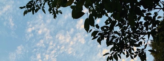 Reiさんの壁紙画像