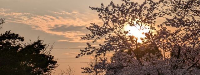 名前の案がない人さんの壁紙画像