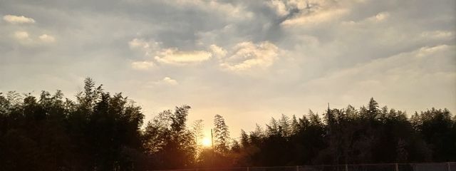 新巻鮭 @サブ垢さんの壁紙画像