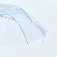 　シ ャ チ 。さんのアイコン画像