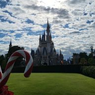 音さんのアイコン画像