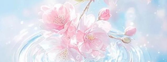 白さんの壁紙画像
