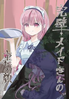 wt ┆ 完璧メイドさんの裏の顔