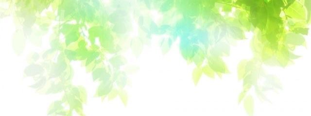 詩音さんの壁紙画像