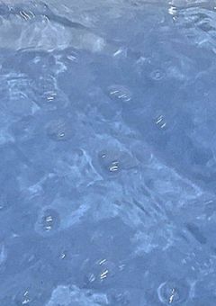 夢待つと