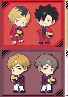 稲荷崎の天然マネージャー、愛され人生です。