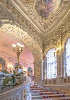 転生ヒロイン令嬢騎士になる【njsj】