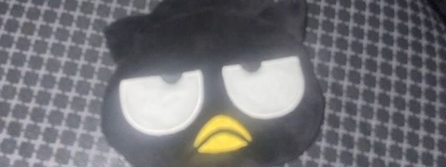 朝 奈さんの壁紙画像