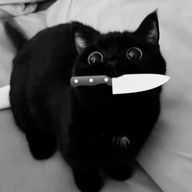 すいかさんのアイコン画像