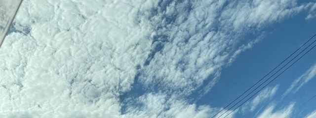 はっぴぃさんの壁紙画像