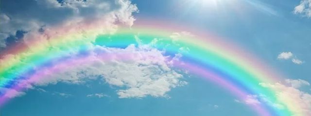 WarabiMotiさんの壁紙画像