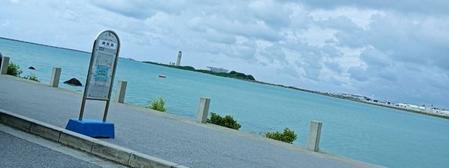 ☆春花☆5314❀#ただいま さんの壁紙画像