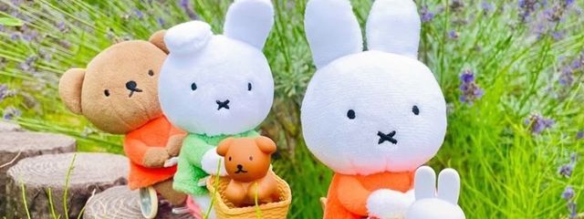 宵崎 爽風蘭さんの壁紙画像