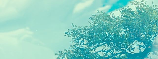 Litaさんの壁紙画像