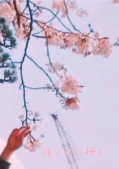 咲くな、桜。