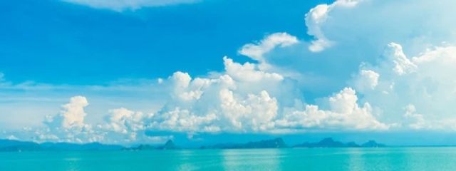 凜苑🌸さんの壁紙画像