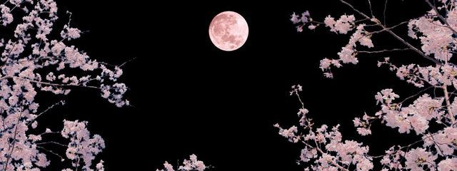 ちょこみるくさんの壁紙画像