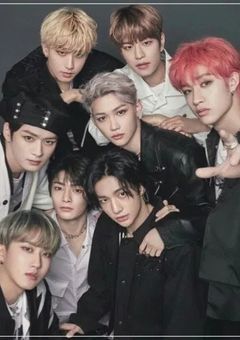 Stray Kids Diary