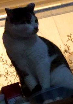 重大報告、、、?