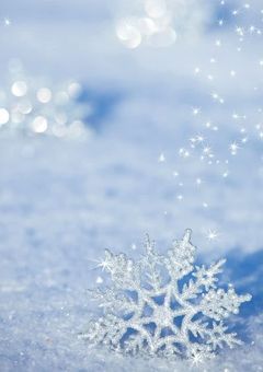 10人のアイドル❄️