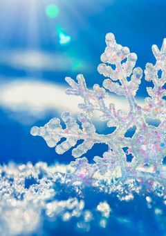 雪乃家の家族のカタチ❄️