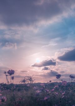 また来世もこの9人で…❄️