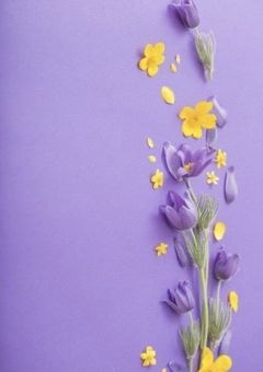 俺の名前を呼んで、愛して。🟡🟣