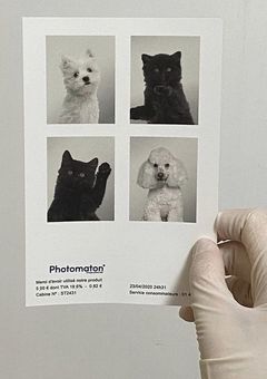 　𝘉𝘦𝘨𝘪𝘯𝘯𝘦𝘳𝘴　