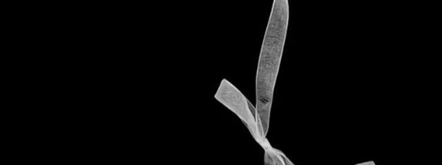 shakelemon🍋@リアル多忙＆受験生さんの壁紙画像