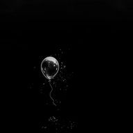 shakelemon🍋さんのアイコン画像