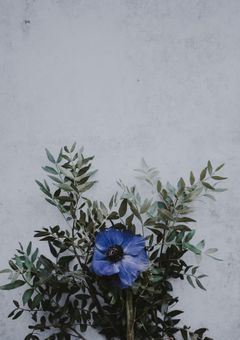 活動報告