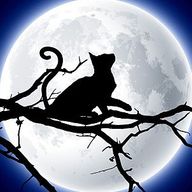 くろさんのアイコン画像