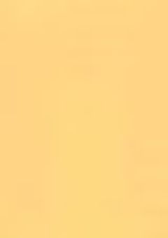 兄の未来変えてみせます 【 amnv 】