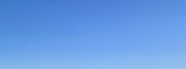 蜂蜜さんの壁紙画像