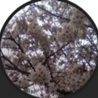 🌸👓さんのアイコン画像