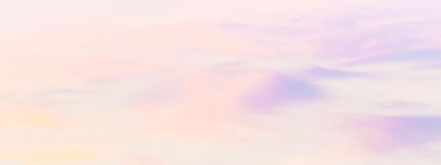 とーふさんの壁紙画像