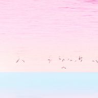 とーふさんのアイコン画像