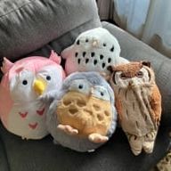 フック🦉🐰🗞️さんのアイコン画像