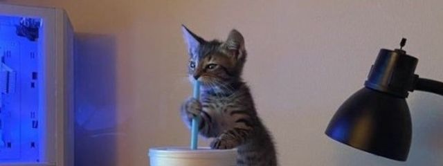 しゅあ🪼さんの壁紙画像