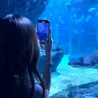 しゅあ🪼さんのアイコン画像